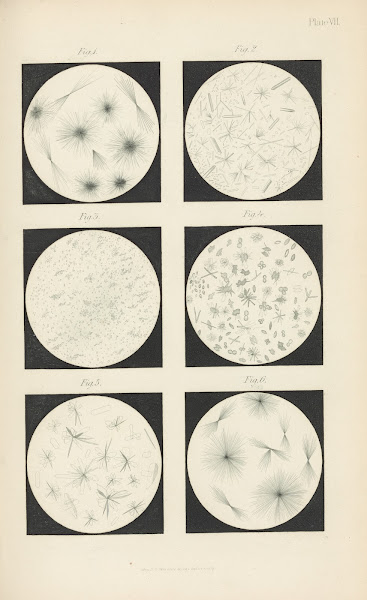 Micro Chemistry of Poisons Pl07 1885