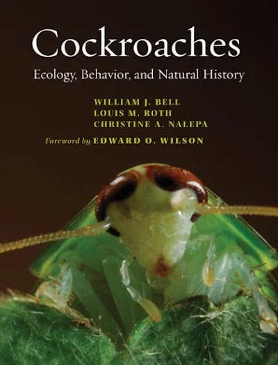 Cockroaches- Ecology, Behavior, and Natural History