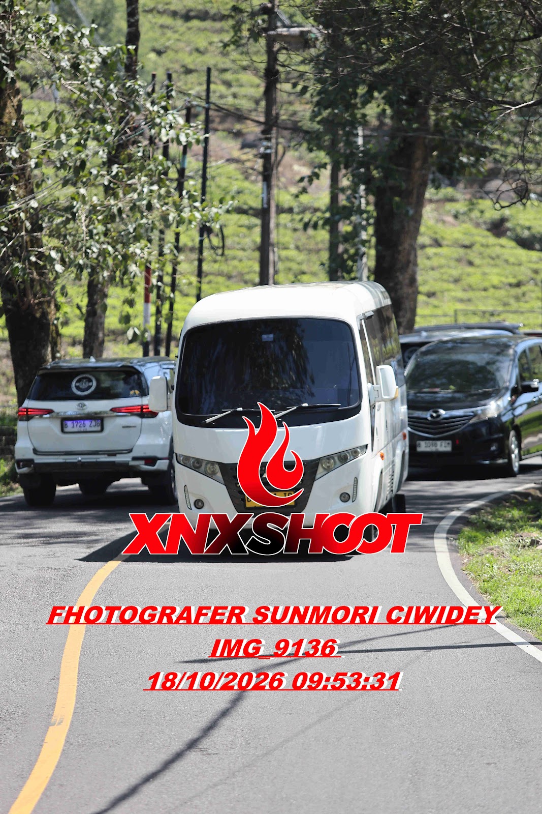 IMG_9136_result.jpg