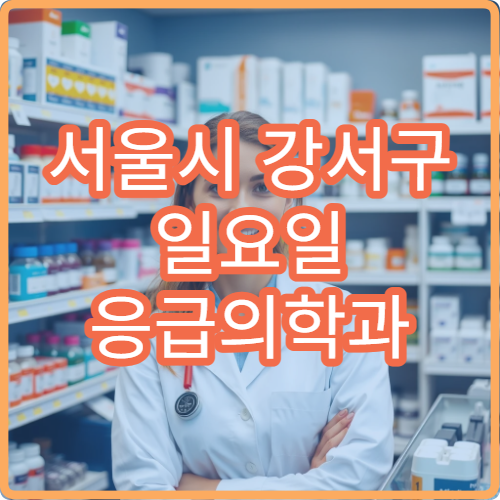 서울시 강서구 일요일 응급의학과 진료 응급실 운영 병원 위치 안내