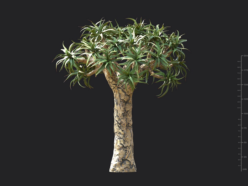 Maxtree - Plant Models Vol.130