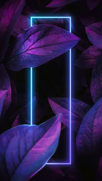 Neon Leaves Picture