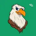 Captura de CoinFeedback