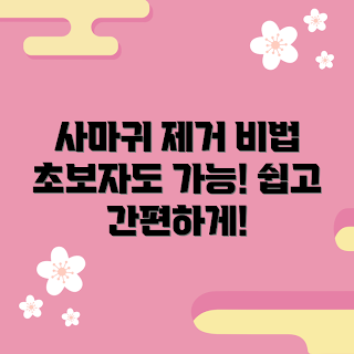 사마귀 제거, 사마귀 치료, 사마귀 원인, 홈케어 방법, 피부 건강