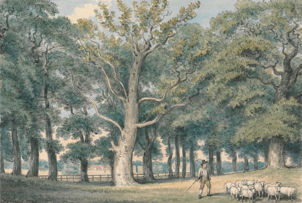 A Park Landscape with Shepherd and Sheep 1793