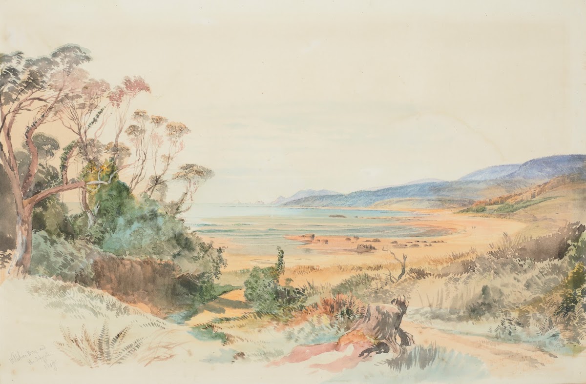 Wiltshire Bay and the Nuggets Otago coast 1866