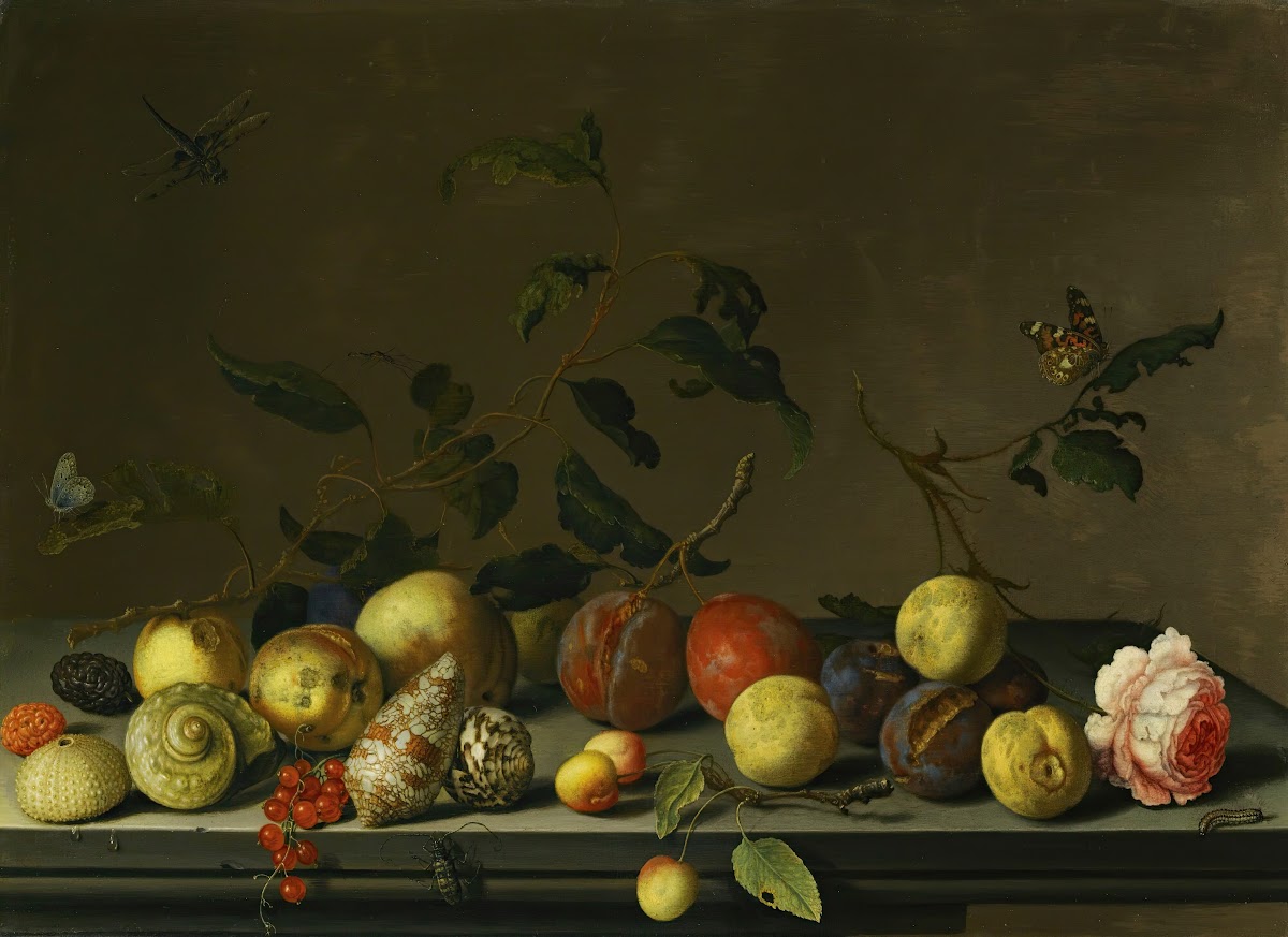 A Still Life Of Fruit And Shells With A Rose And Various Insects Upon A Stone Le
