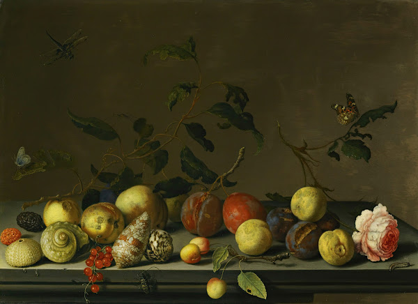 A Still Life Of Fruit And Shells With A Rose And Various Insects Upon A Stone Le