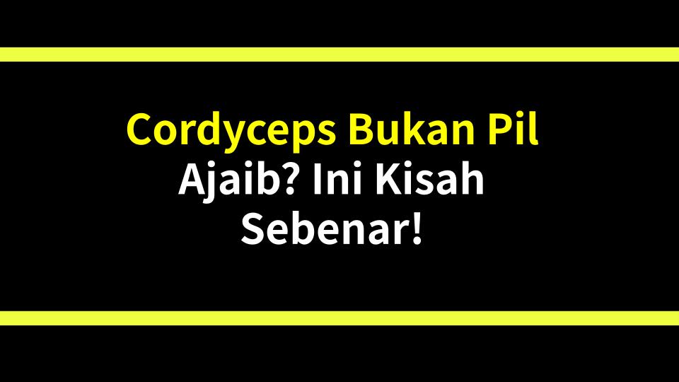 Cordyceps Bukan Pil Ajaib? Ini Kisah Sebenar!