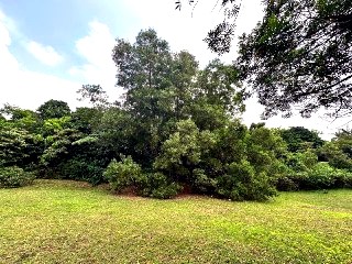 Bungalow Land Presint 10 Putrajaya (12,820 sqft) — foto 3/10