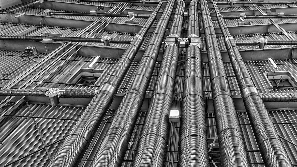 파블로프 조건반사 원리의 심리학적 의미와 실험 구조 해설