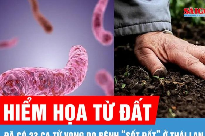 Bộ Y tế khuyến cáo khẩn sau 23 ca tử vong do bệnh 'sốt đất' ở Thái Lan - Báo Sài Gòn Giải Phóng
