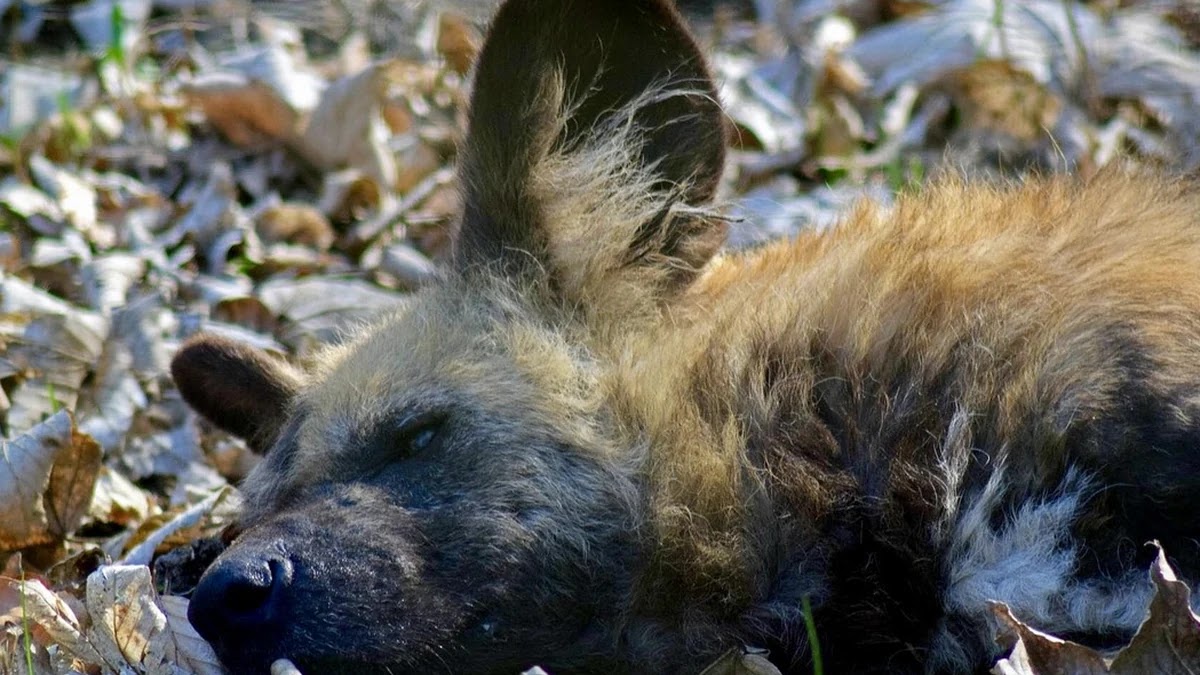 수능 절대평가 확대 시나리오와 입시 전략 변화 예측