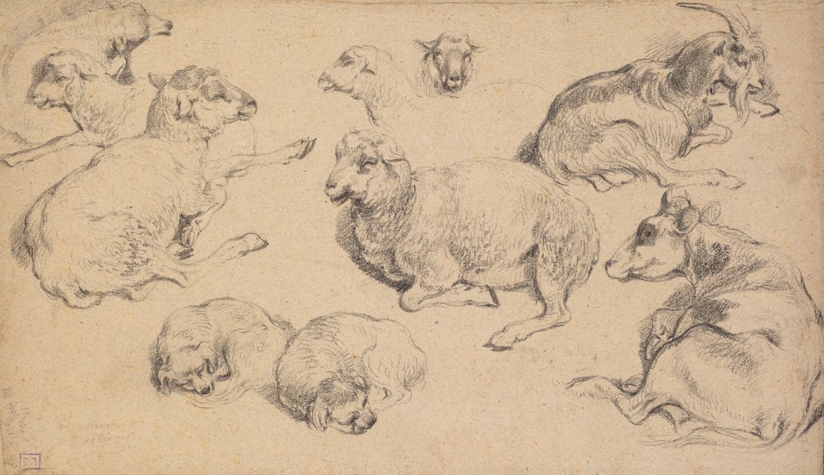 Sheet of Studies with Sheep Goats and Dogs c 1780