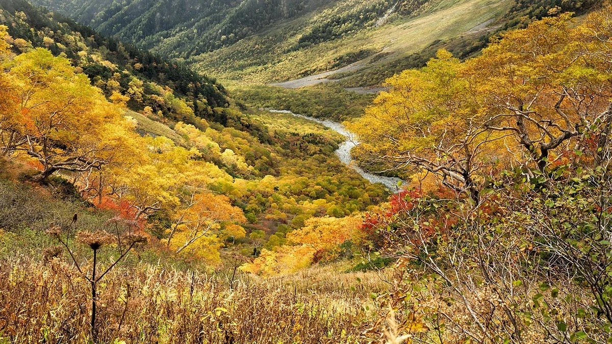야구 스트라이크와 볼 판정 기준 비교와 심판용 체크리스트