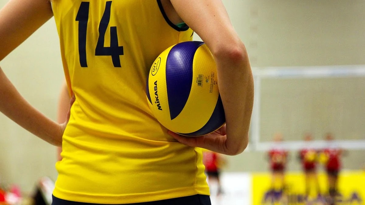 배구 리베로 역할과 포지션별