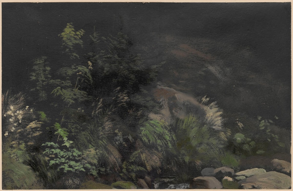 Plants on rocks 1850 1881