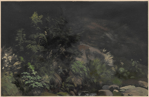 Plants on rocks 1850 1881
