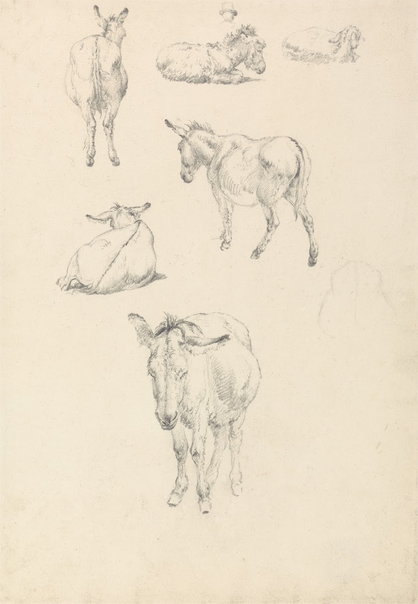 A Donkey Six Studies Lying Walking Standing Sitting after 1804