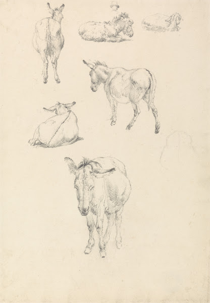 A Donkey Six Studies Lying Walking Standing Sitting after 1804