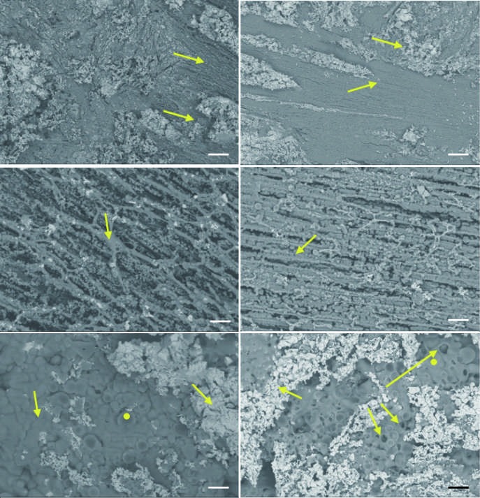 Ablation behaviour and mechanical performance of ZrB2-ZrC-SiC modified carbon/carbon composites prepared by vacuum infiltration combined with reactive melt infiltration