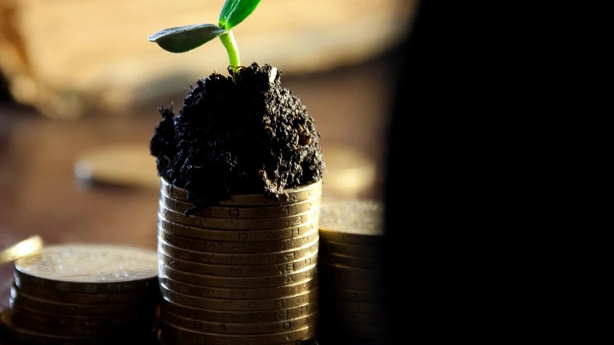 초보 투자자를 위한 배당소득 이해와 세금 처리 방법