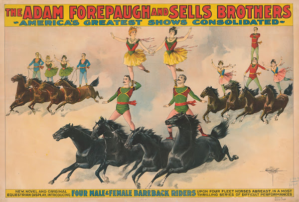 The Adam Forepaugh  Sells Brothers Americas greatest shows consolidated Four mal