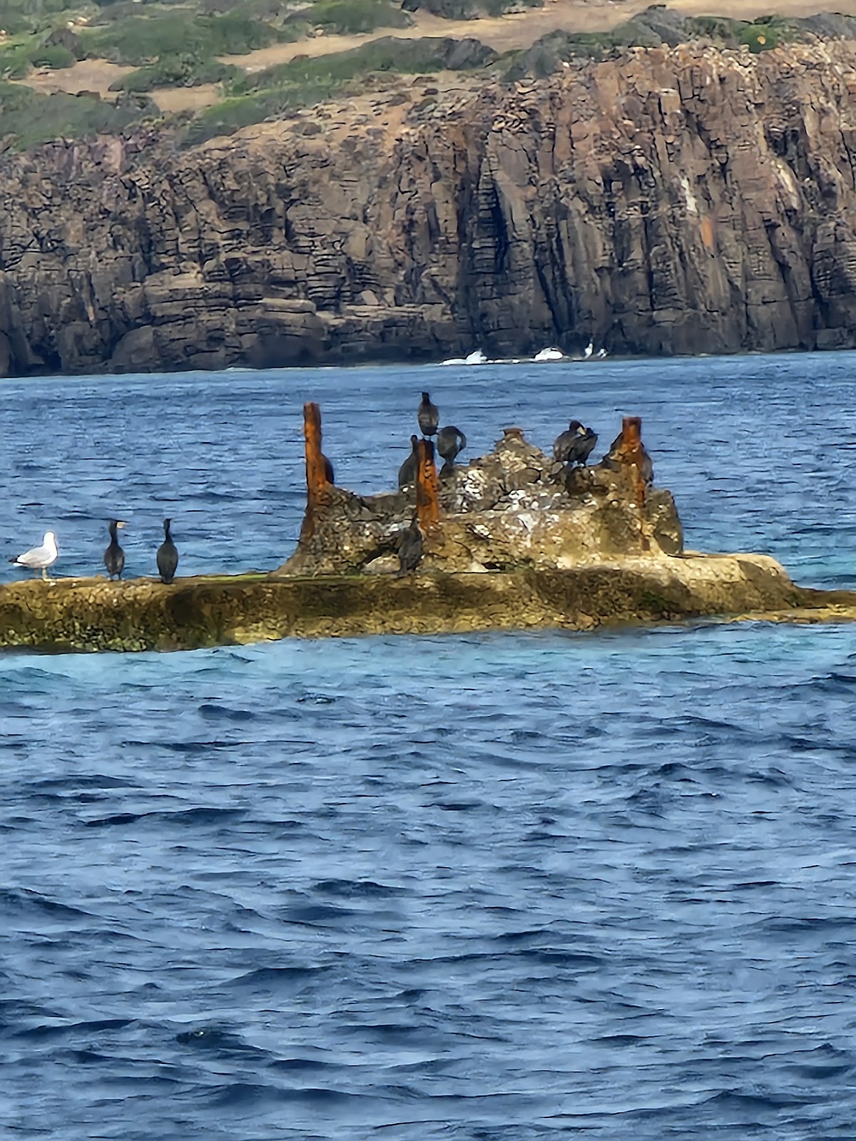 Photo de la navigation NAV-051