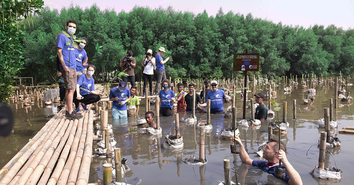 The EU delegation during EU Climate Diplomacy Week 2021 in Indonesia demonstrated their commitment and support to tackle climate change by taking a mangrove conservation trip to Angke Natural Park with CarbonEthics. EU Climate Diplomacy Week Indonesia, mangrove conservation muara angke jakarta, Jakarta mangrove conservation. CarbonEthics Indonesia