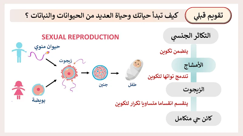 صورة الغلاف