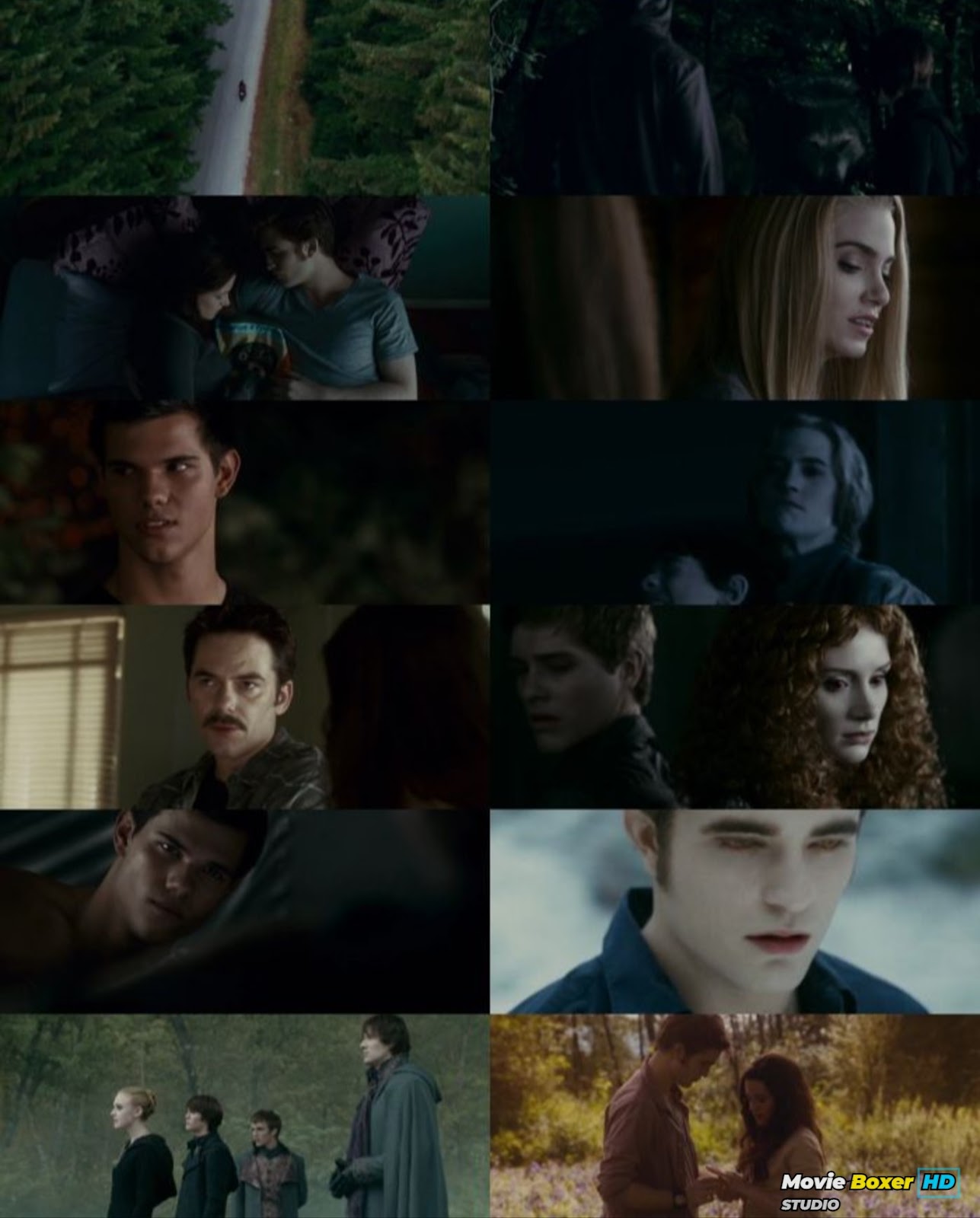 Screenshots Grid