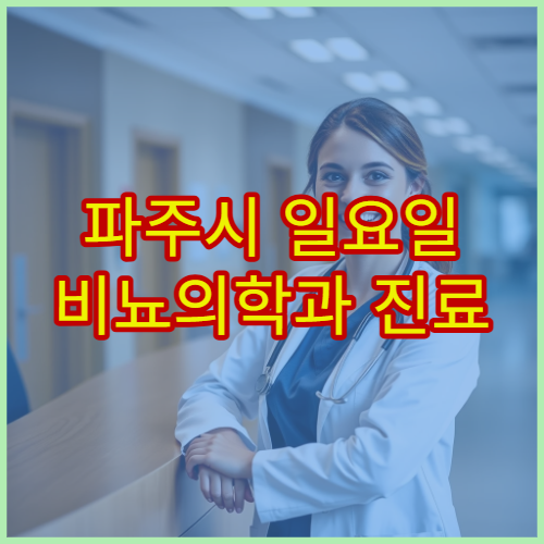 파주시 일요일 비뇨의학과 진료 병원 방광염·전립선 상담 가능