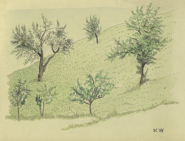 Ohne Titel Laubbäume auf Hügel around 1924