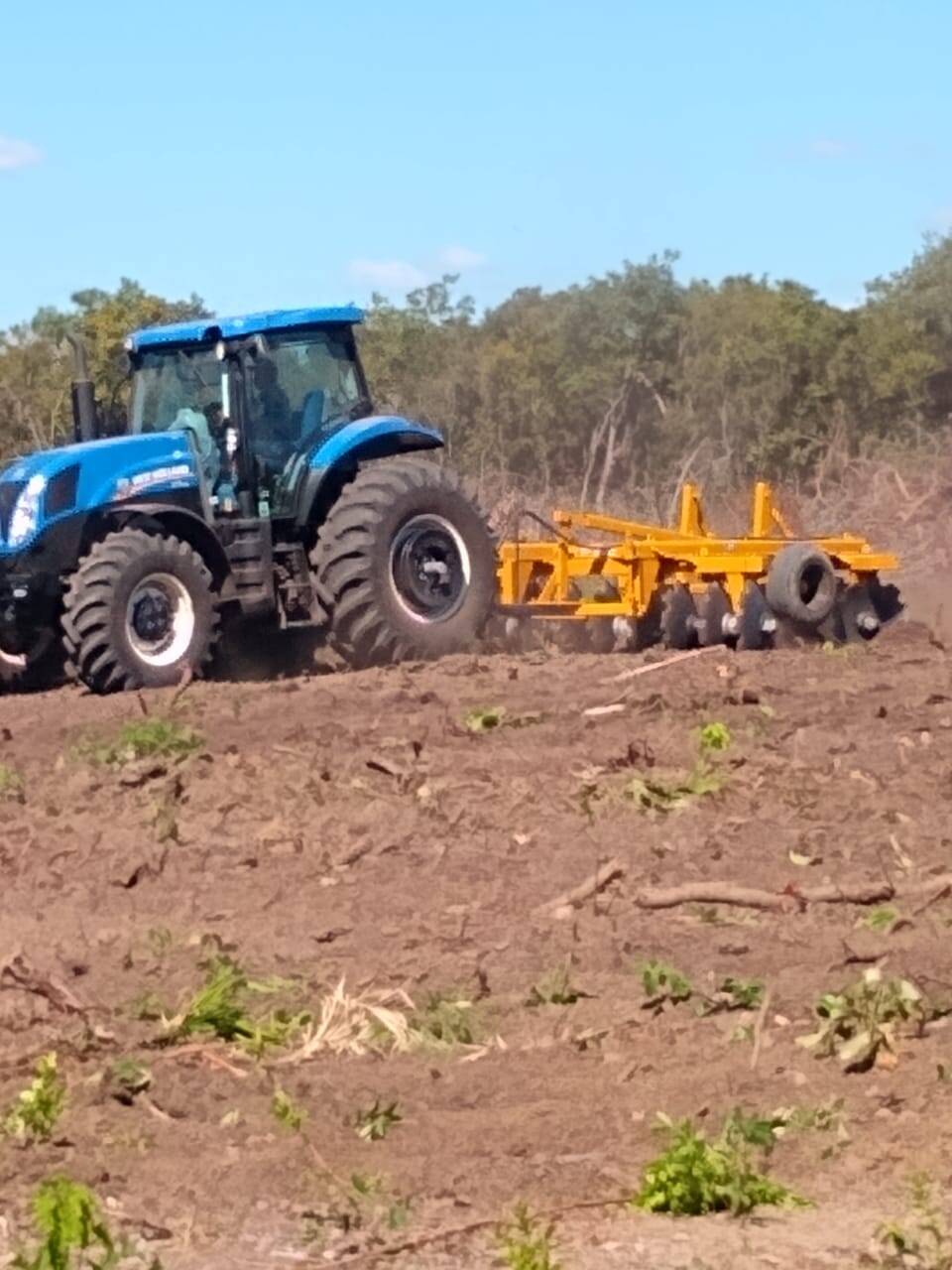 Fazenda em Nova Crixás-GO 2