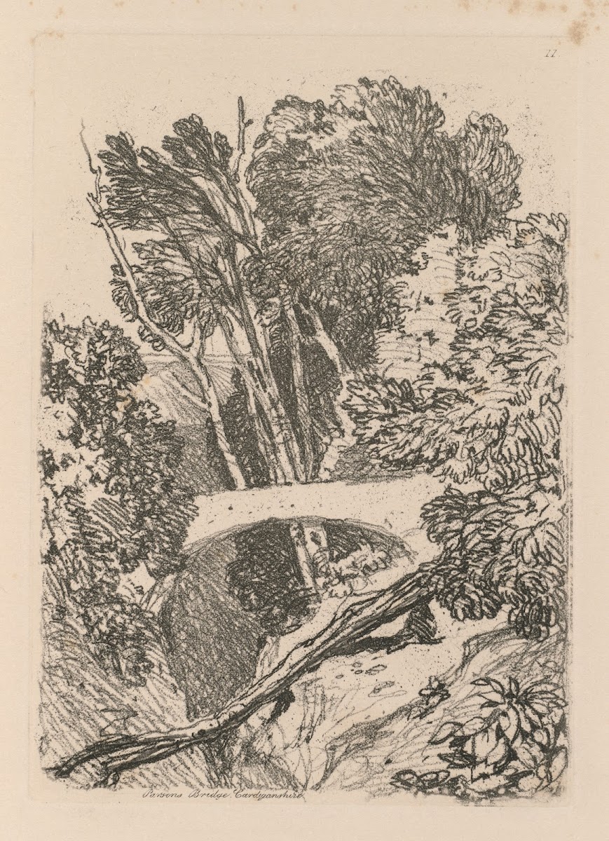 Parsons Bridge Cardingshire 1838