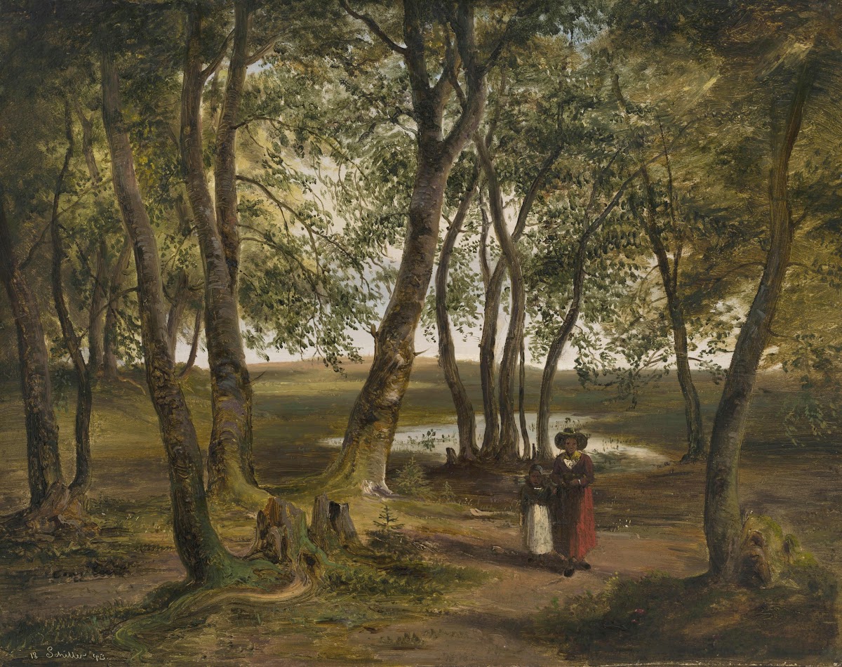 Buchenwald am Ganszipfel Chiemsee 1843