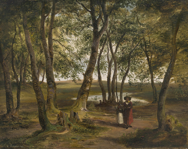 Buchenwald am Ganszipfel Chiemsee 1843