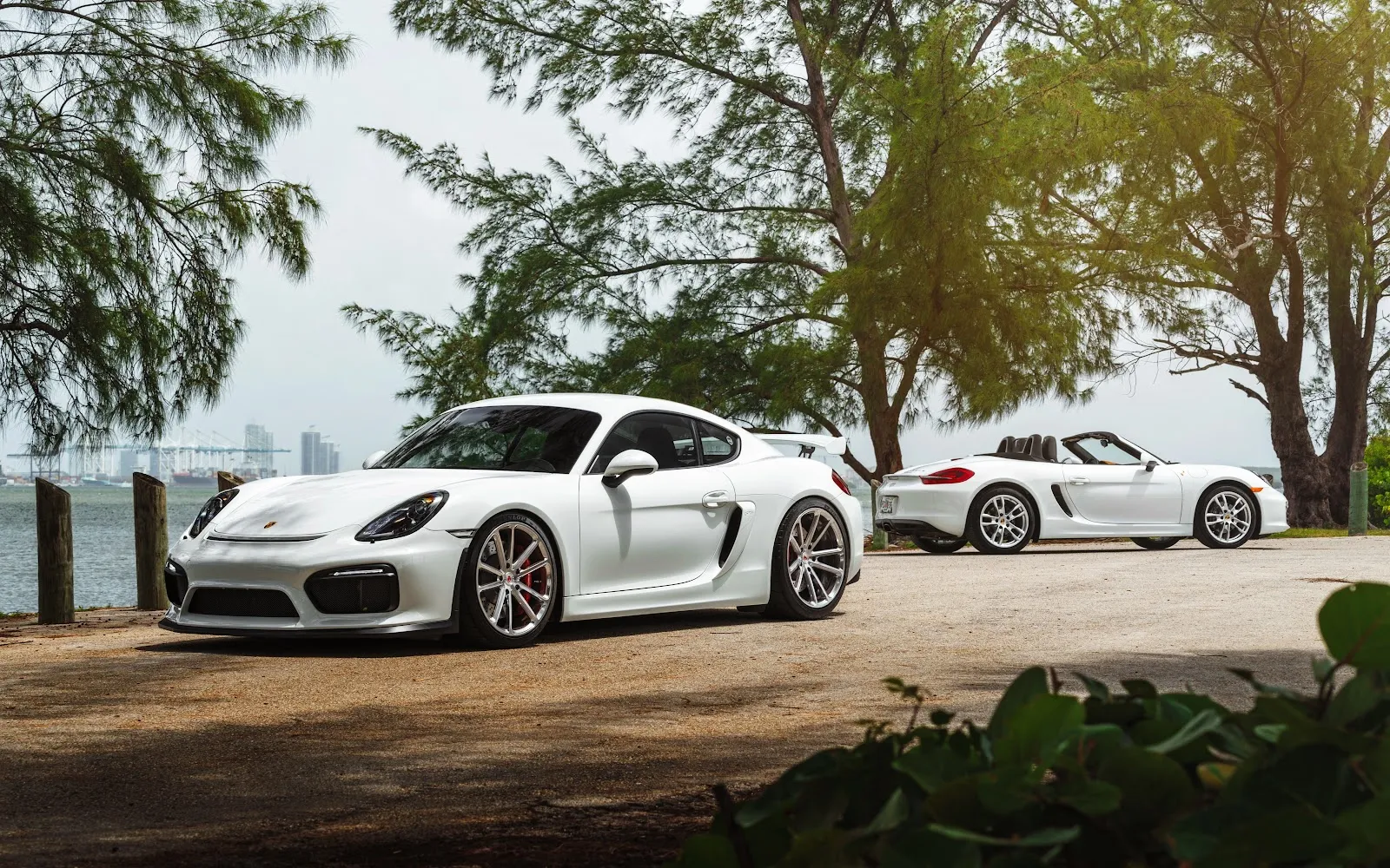 A Stunning Car, Porsche, Vehicle, White Cars, Porsche 981 5K Desktop and Mobile Wallpaper Background (6000x3750)