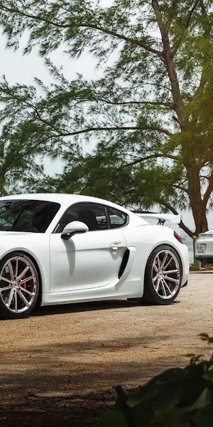 Car, Porsche, Vehicle, White Cars, Porsche 981 5K Wallpaper Background