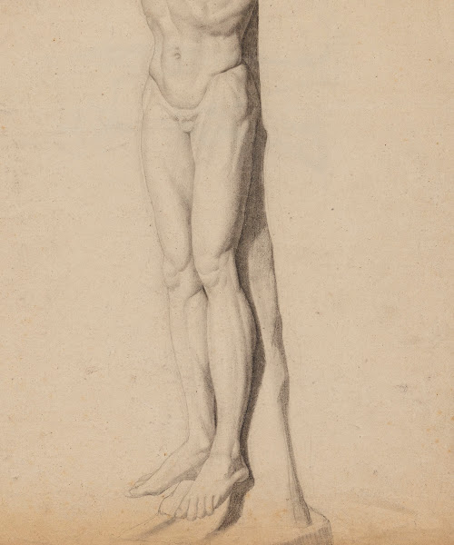 Jambes et bas dun torse dhomme 19th century