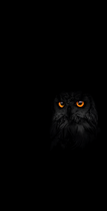 Mysterious Owl with Glowing Orange Eyes in Darkness