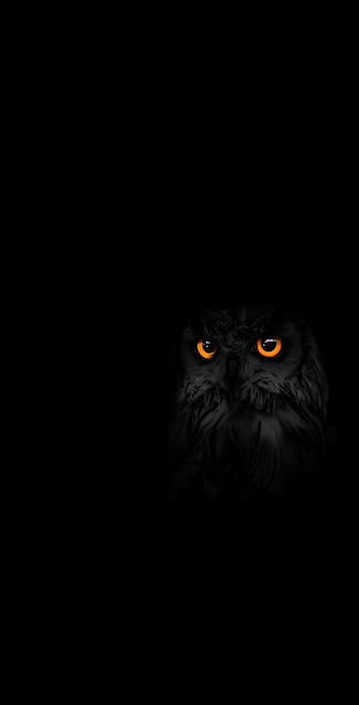 Mysterious Owl with Glowing Orange Eyes in Darkness - Free mobile Wallpaper