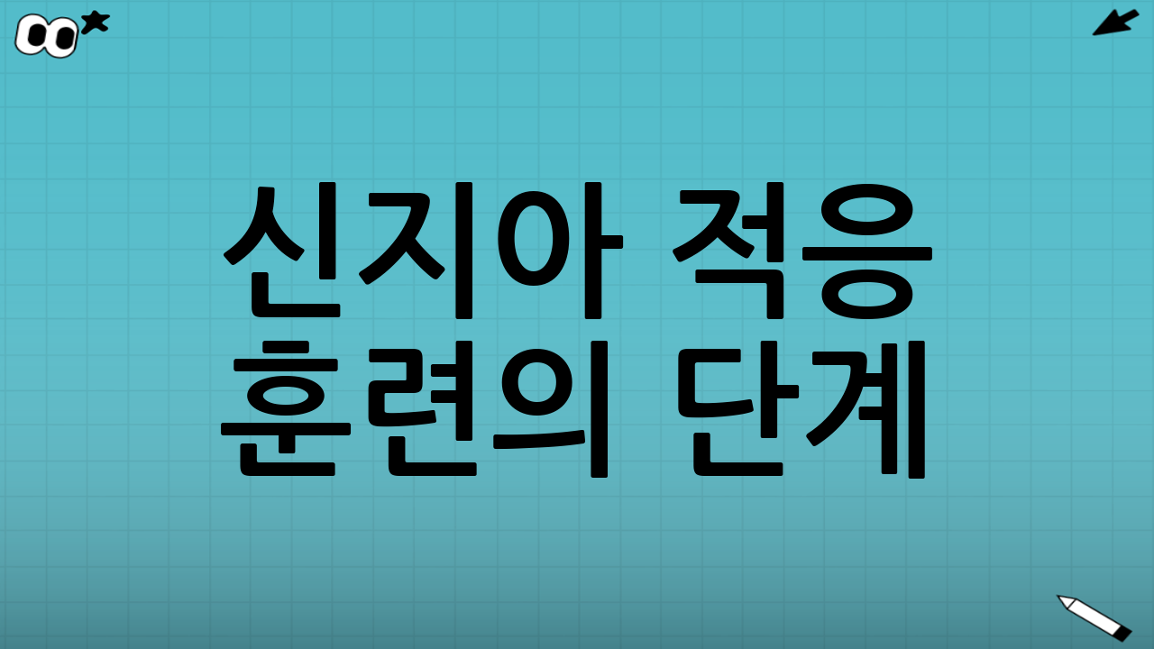 신지아 적응 훈련의 단계