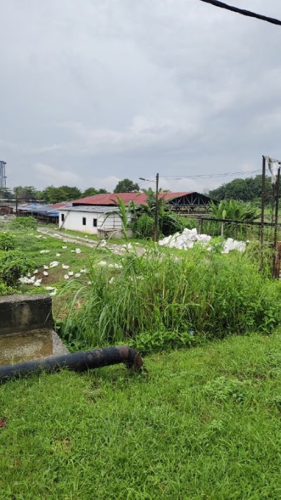 Tanah Pertanian 1 Ekar Pulau Meranti — foto 10/10