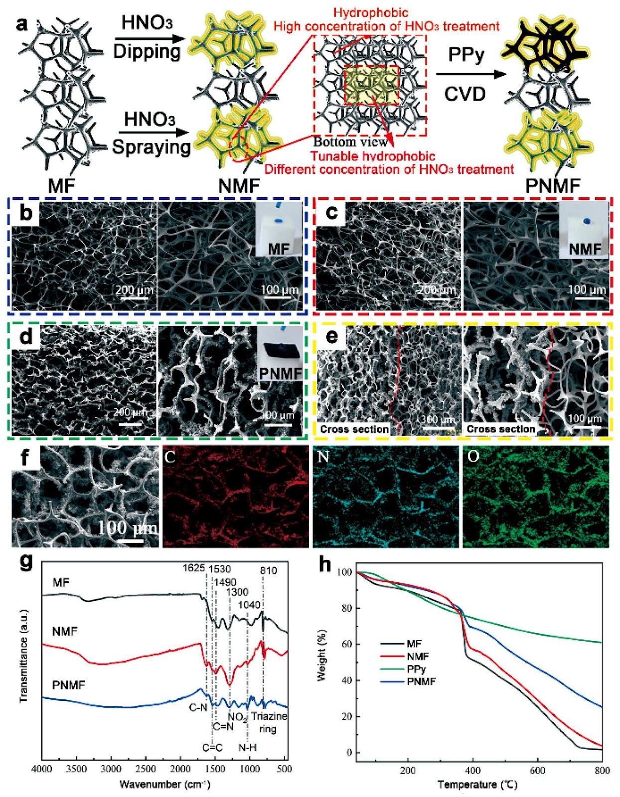 Sandwich-structured wettability foam for highly efficient, cost-effective, salt-resistant, and durable solar desalination