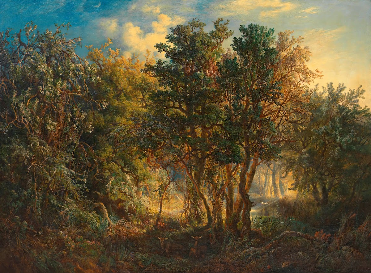 Australischer Urwald 1867