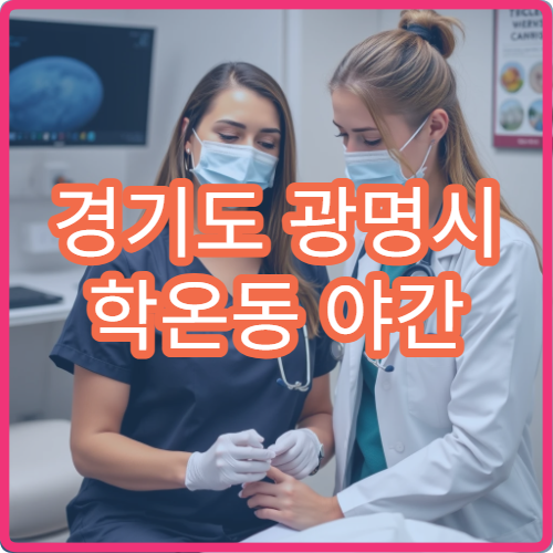 경기도 광명시 학온동 야간 이비인후과 진료 병원