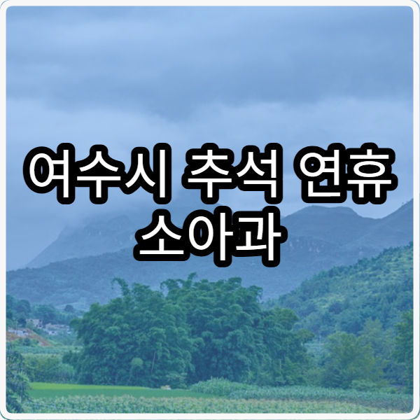 여수시 추석 연휴 소아과 진료 병원 한눈에 보는 리스트