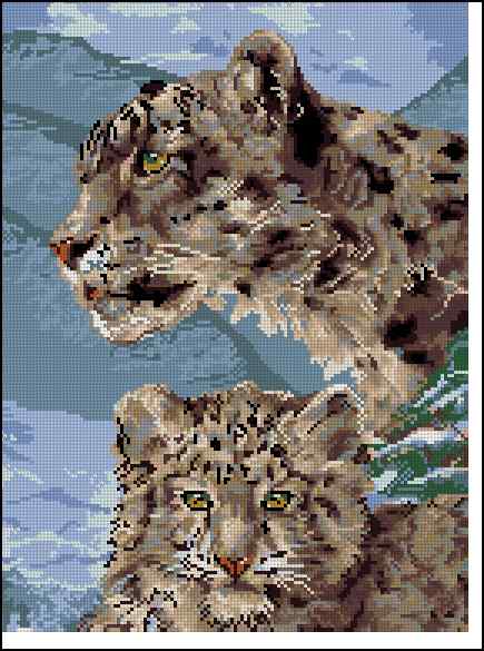 CMP 400447 Snow Leopards