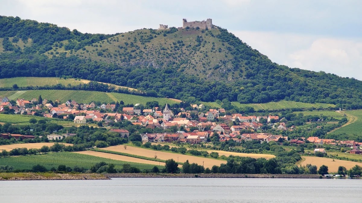 파블로프 조건반사의 원리와 일상 속 적용 사례